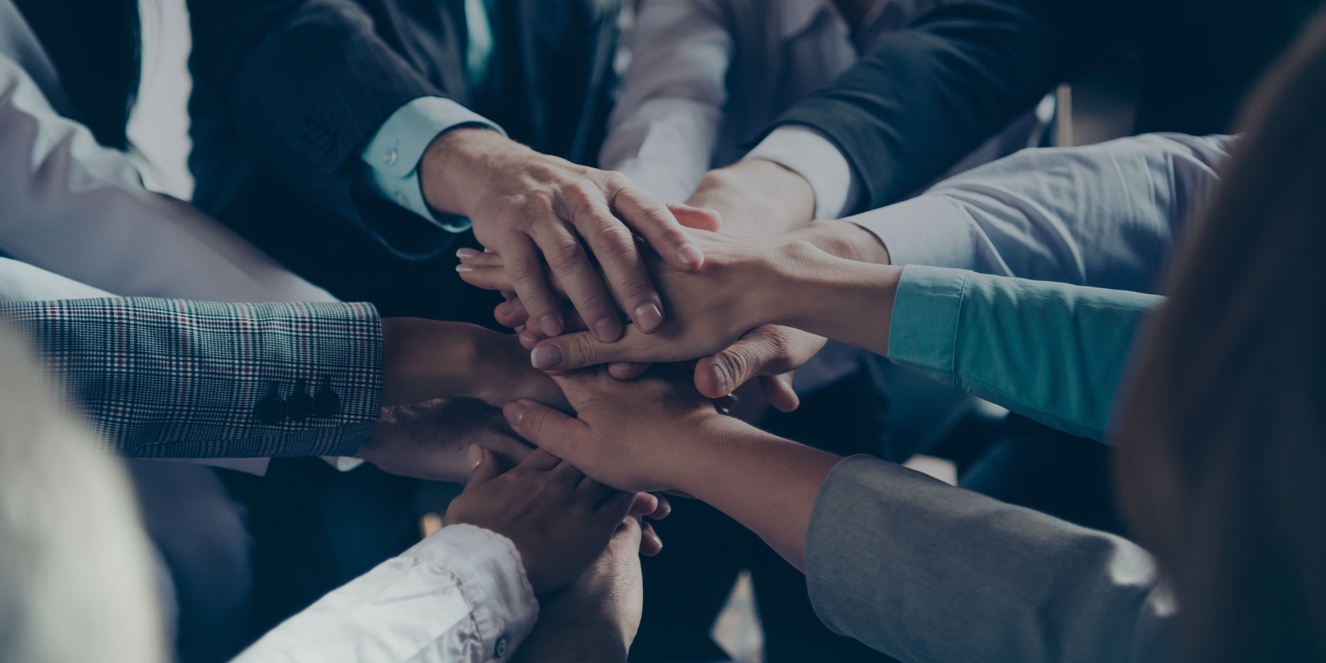 Join us and create the future together